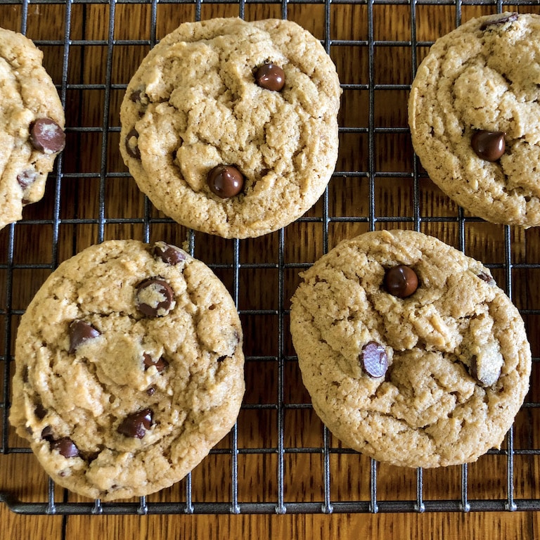 Sourdough Discard Chocolate Chip Cookies - Held Fast Home